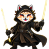 Kid Jedi – Esprit de la lune noire