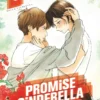 Chronique Manga Promise Cinderella T8