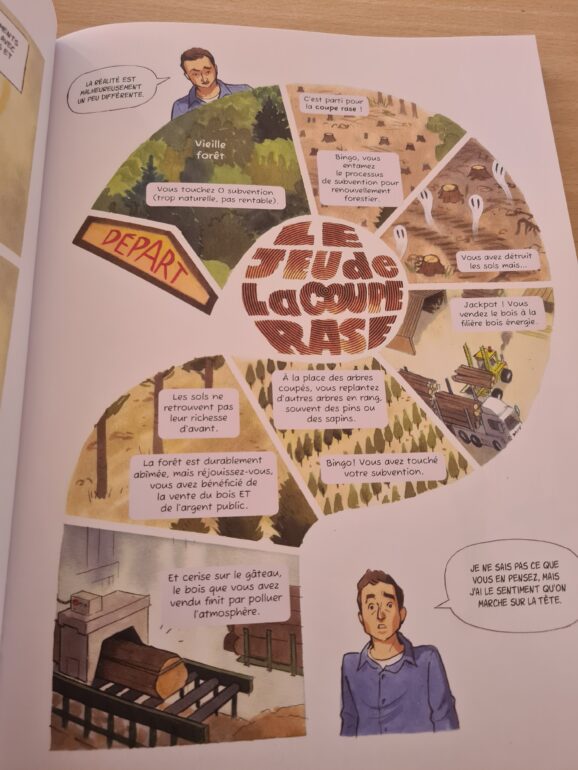 Comment fonctionne la coupe rase et ses enjeu économique